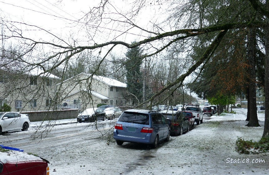 city street with cars parked along it