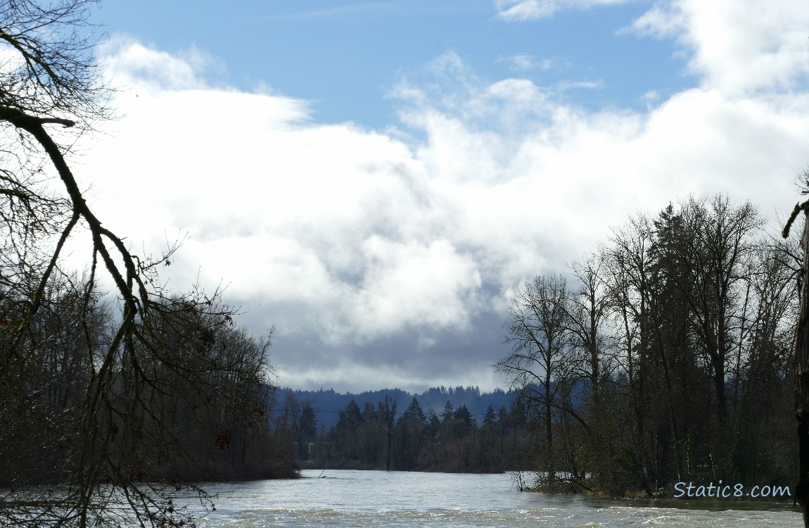 Clouds, looking upriver