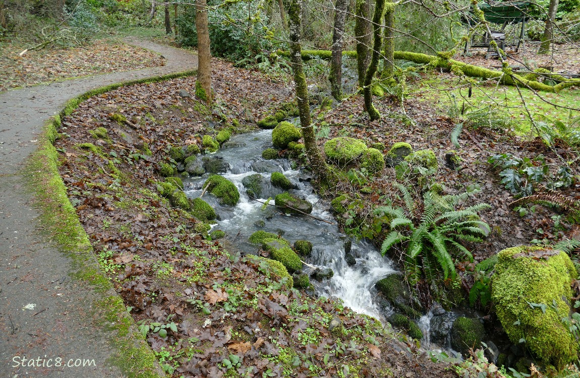 Waterfall next to the hiking path