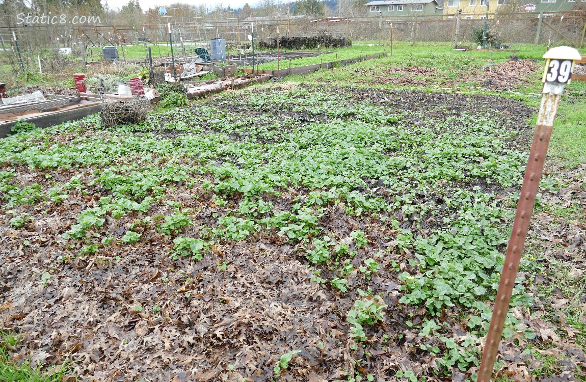 Garden plot