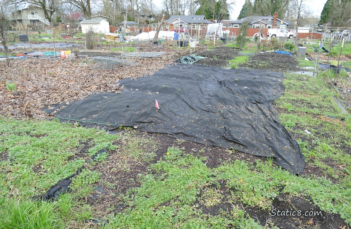 Garden Plots