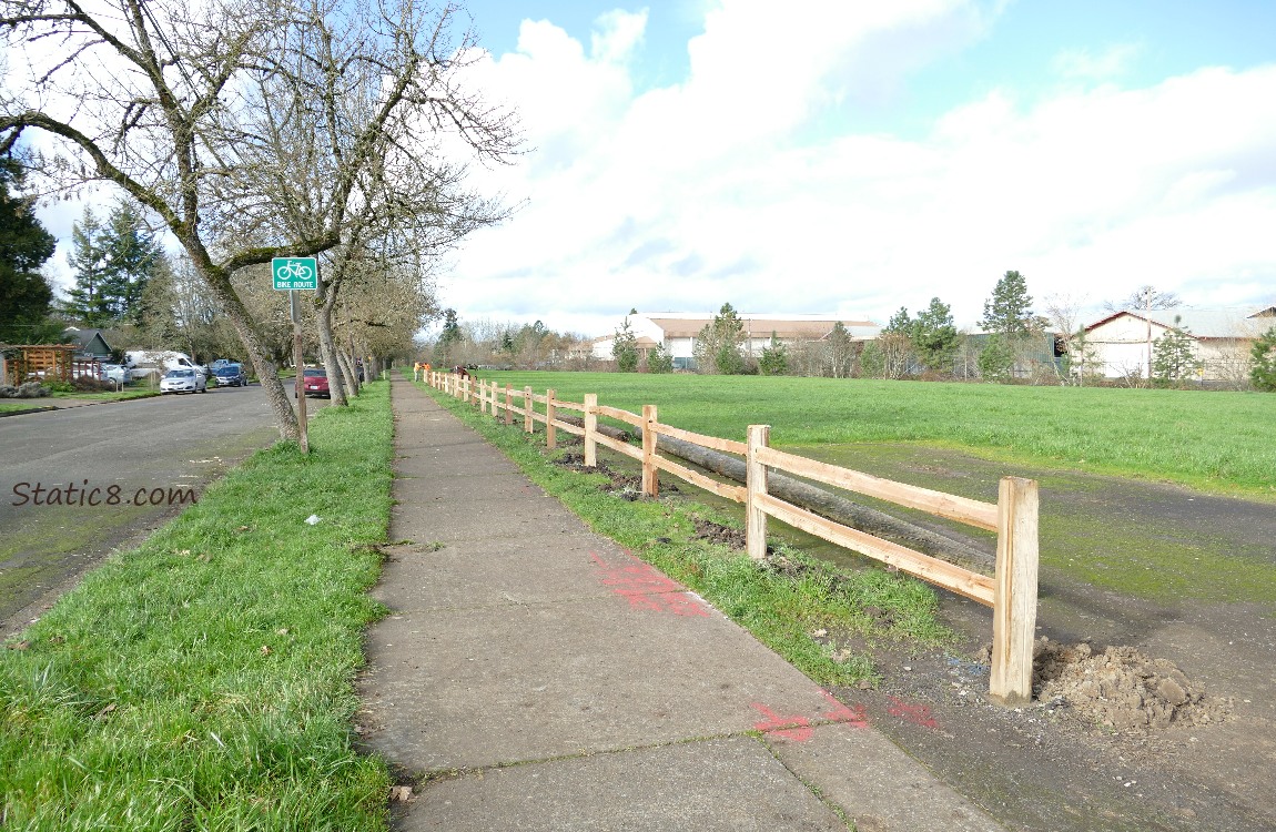 street and trees and sidewalk and fence