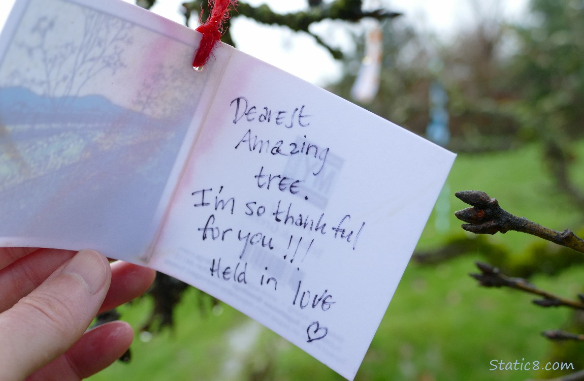 Card on a string, held open