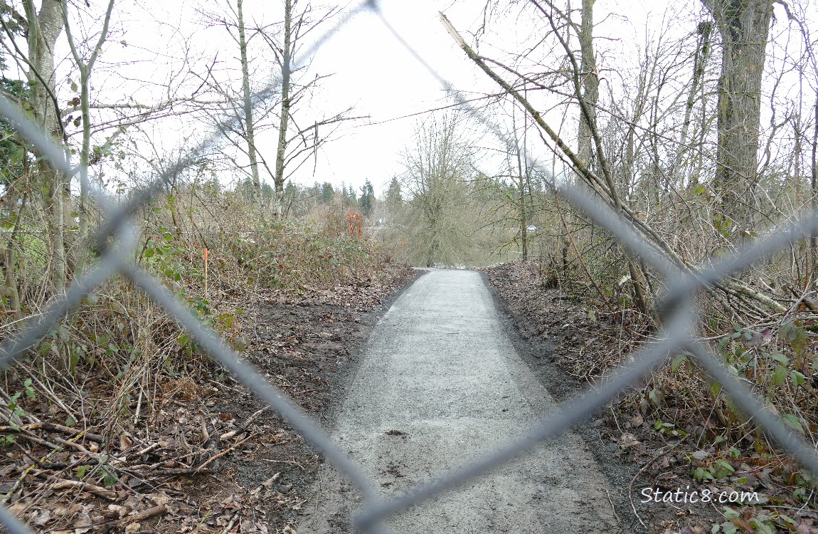 Path thru a chain link fence