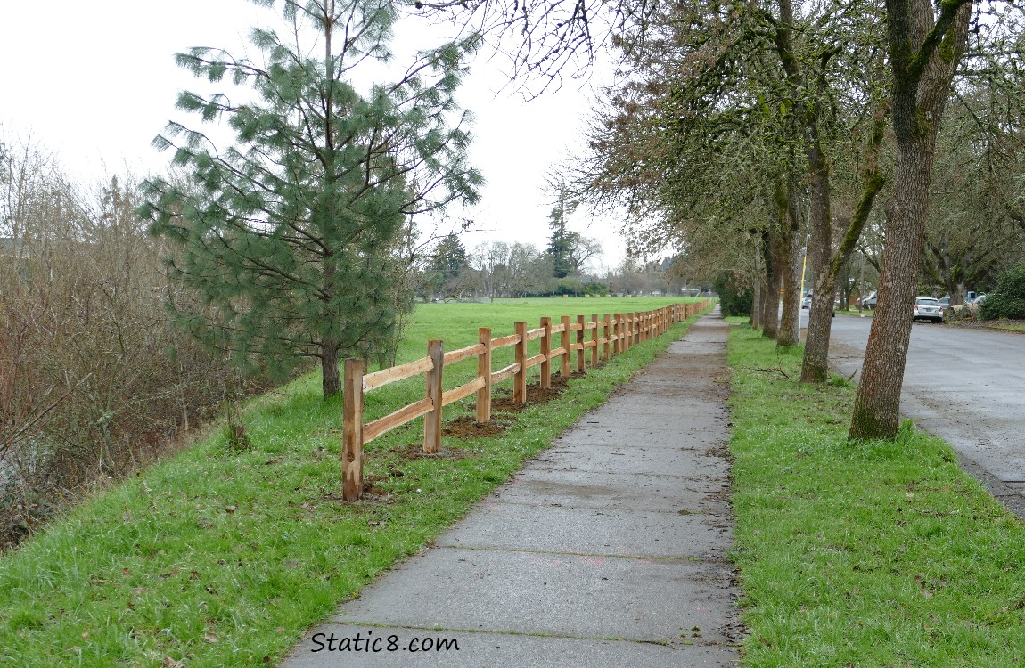 Rough cut wood fence along a sidewalk