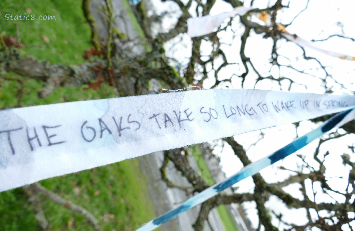 Blue streamer with writing on it