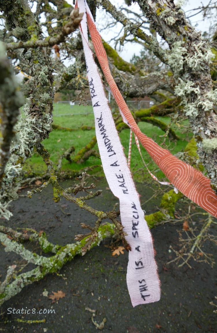 Orange streamer with writing on it