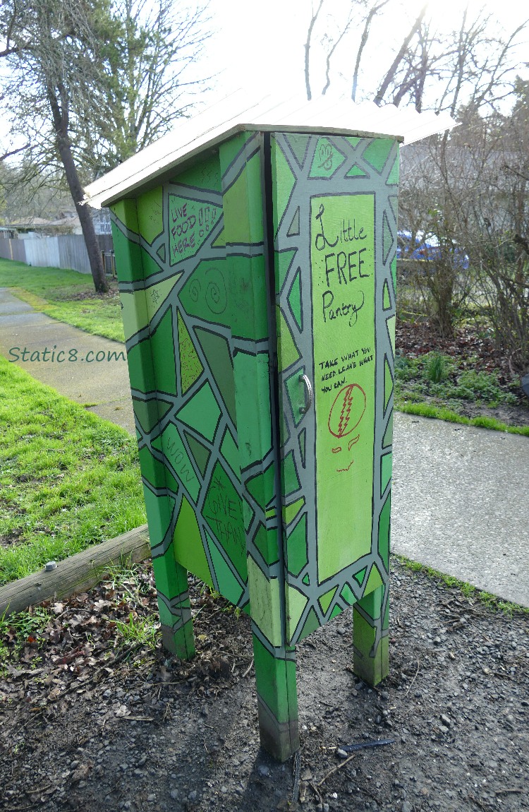 Green Little Free Pantry