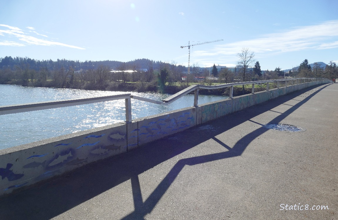 Bridge railing bent into a V shape, the river in the background