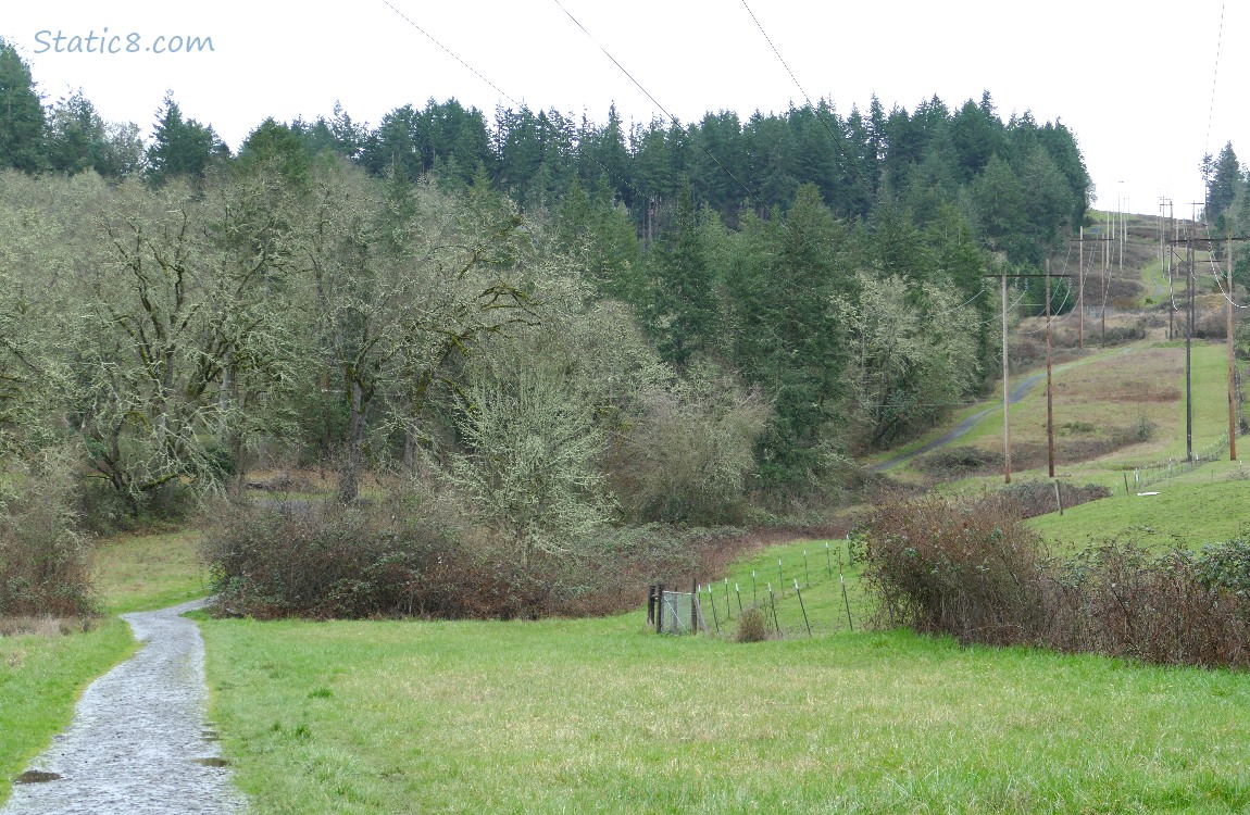 trail going up the hill under power lines