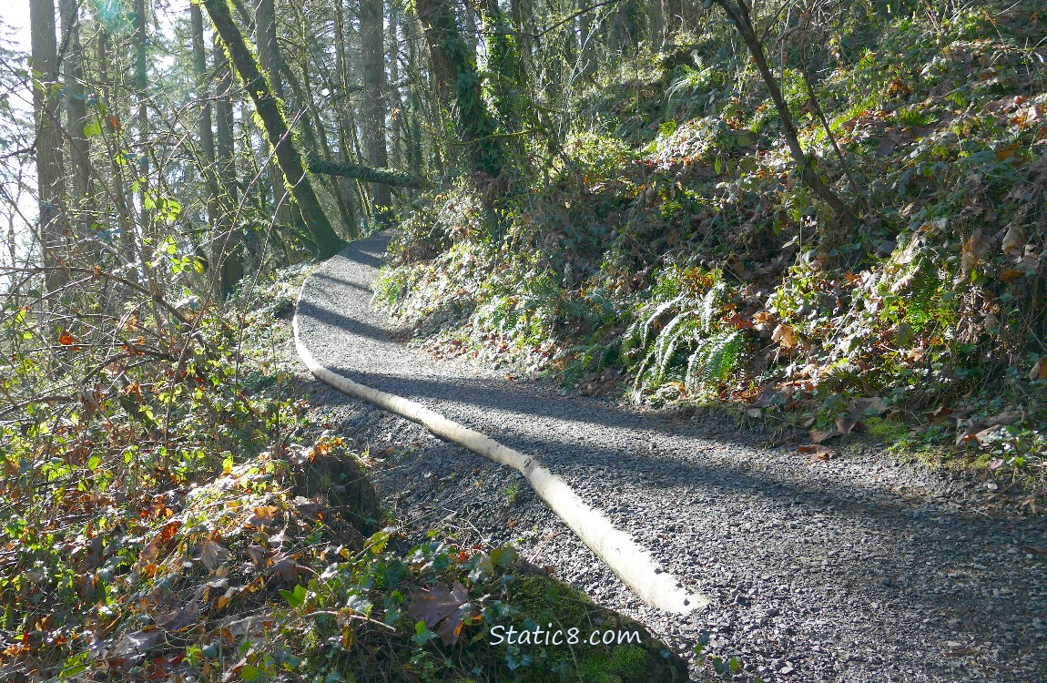 Gravel trail going up into the forest