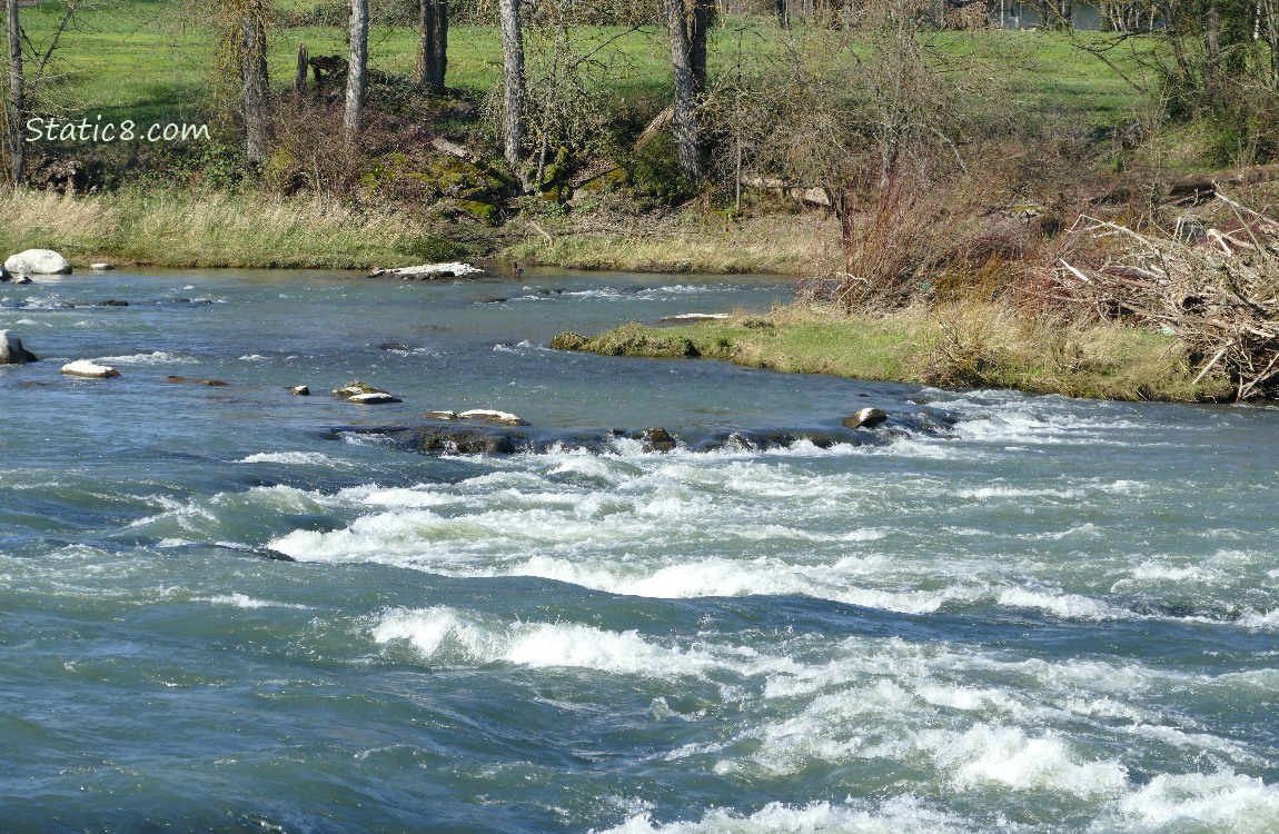 River water going over rocks