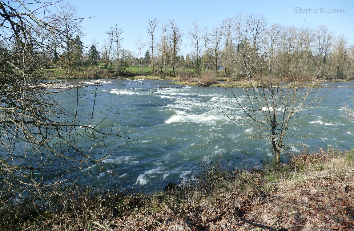 Looking across the river