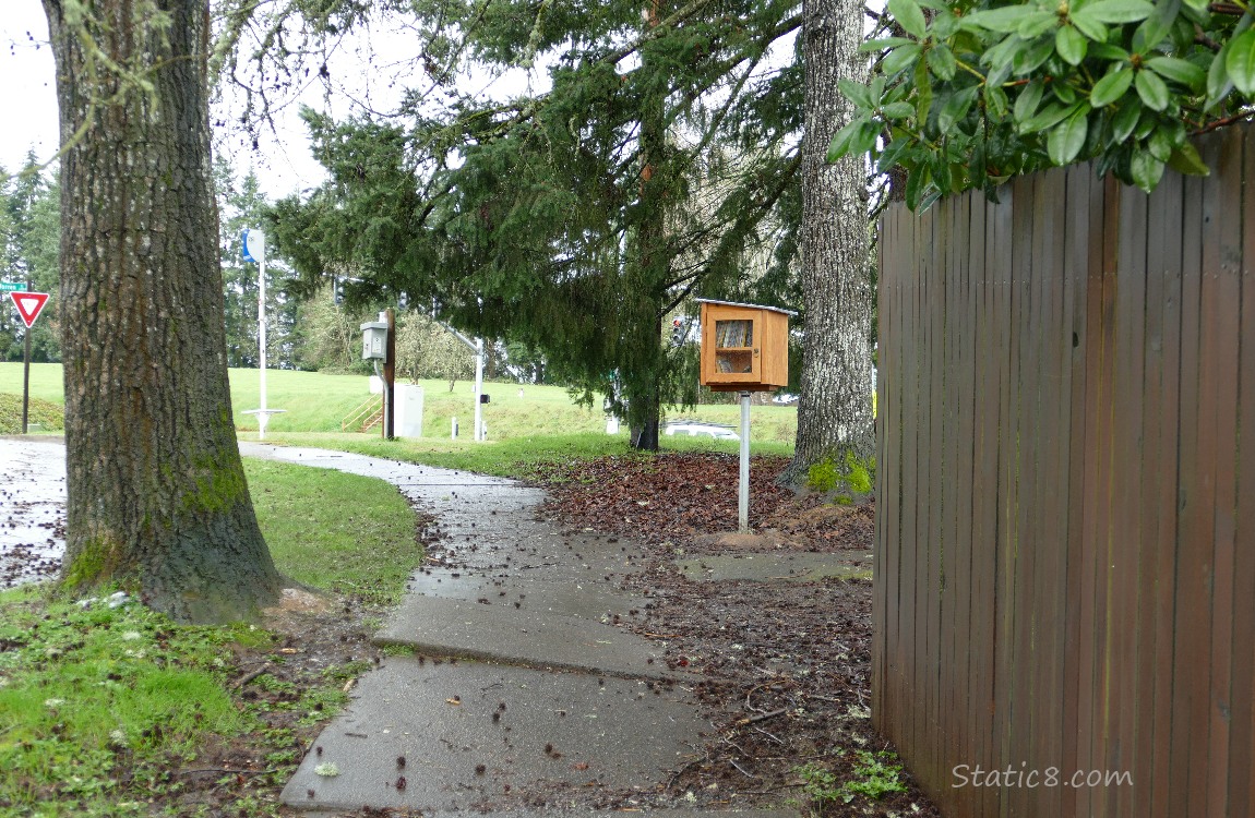 Little Free Library at the edge of the sidewalk, surrounded by streets and trees