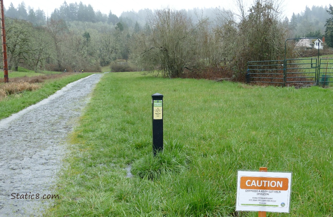 Looking up a straigh path, with some signs to the side