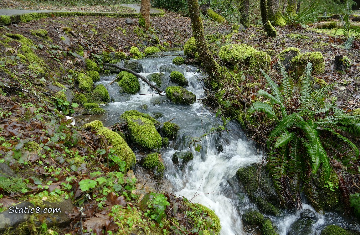 Waterfall