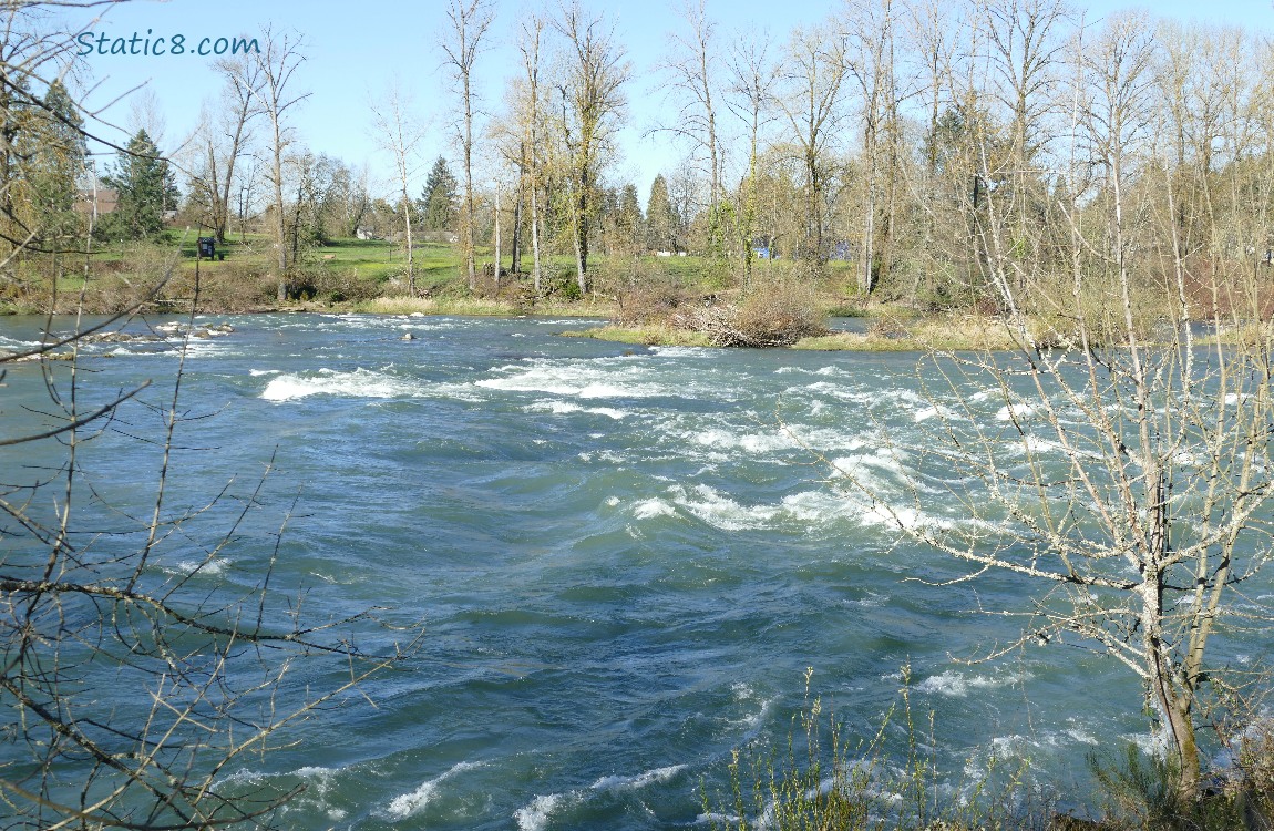 Looking across the river