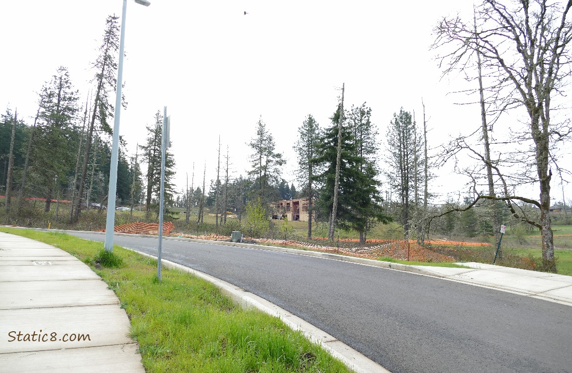 Looking past a road and trees, a new house is being built