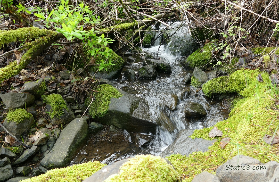 Waterfall