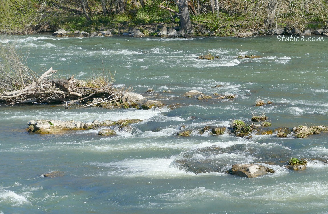 River going over rocks, the bank in the background