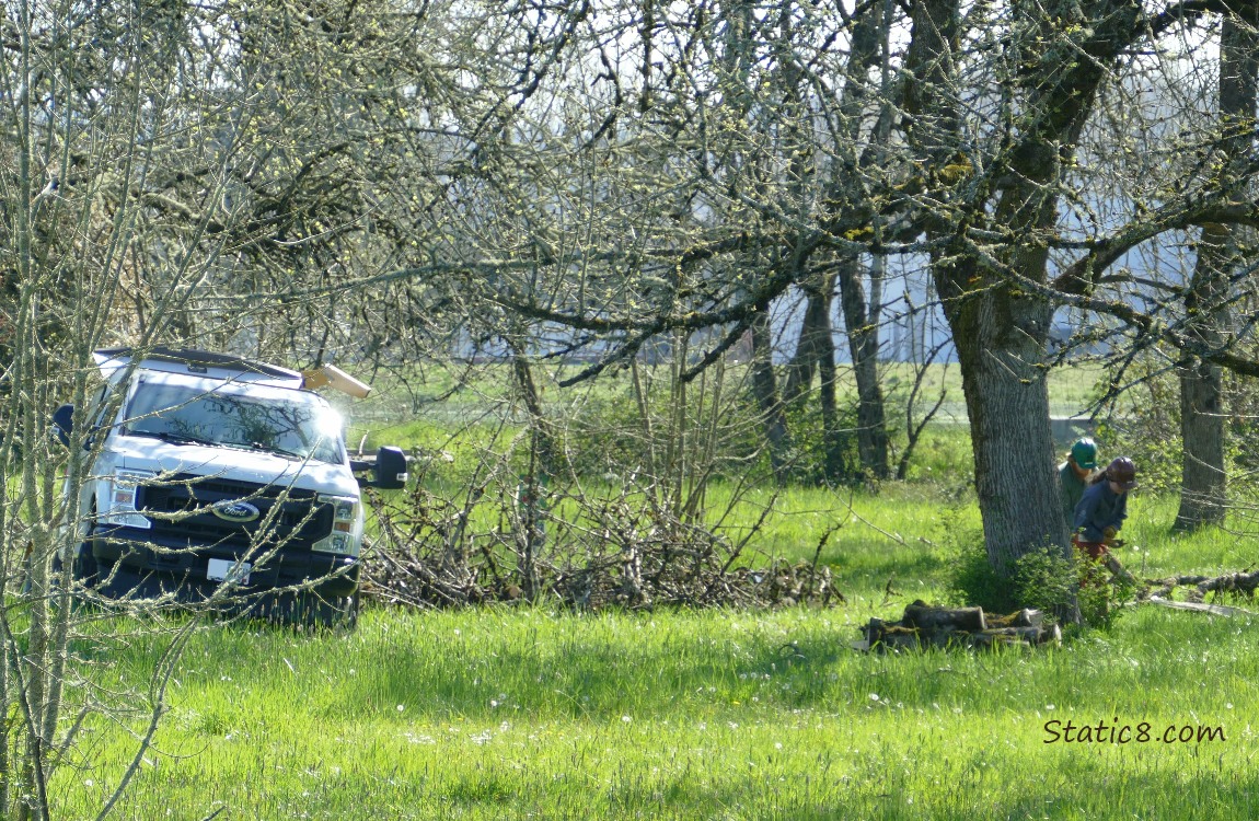 Pickup Truck and people in the grass of the forest