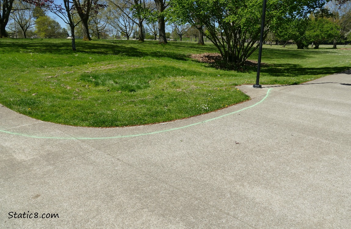 Green line spray painted on the bike path, trees in the distance