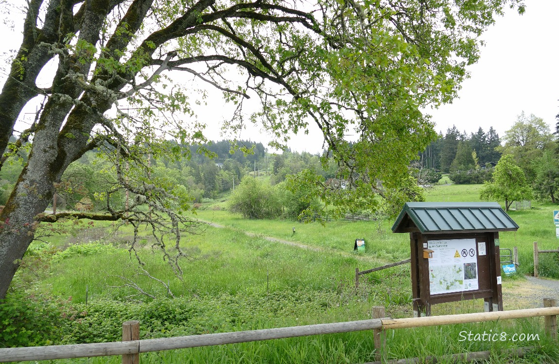 Kiosk at the head of a hiking trail