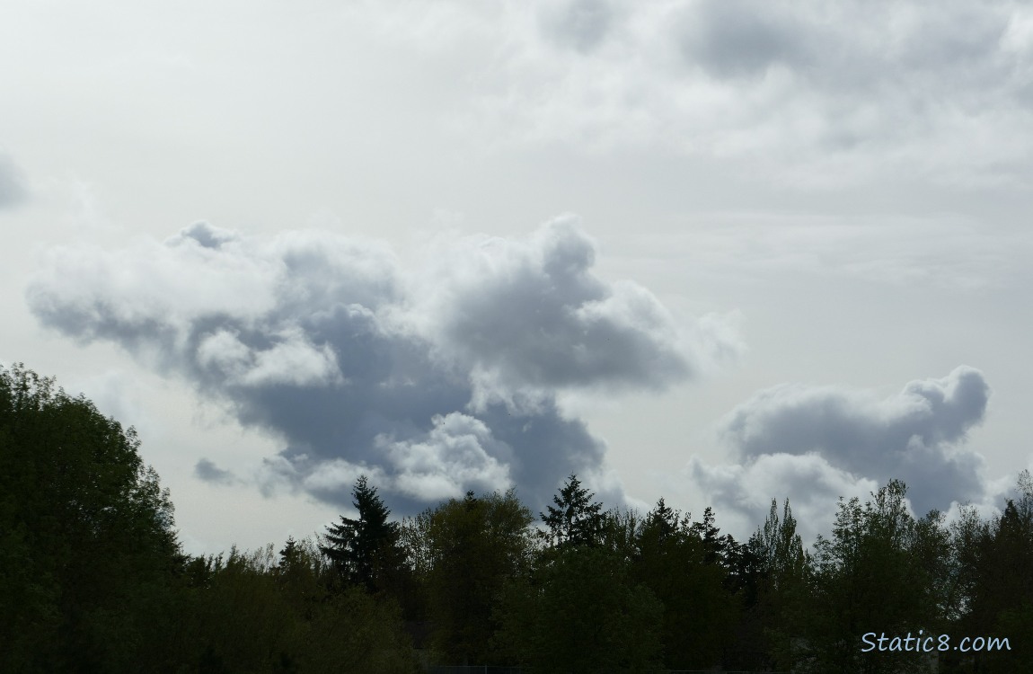 Clouds over silhouette of trees