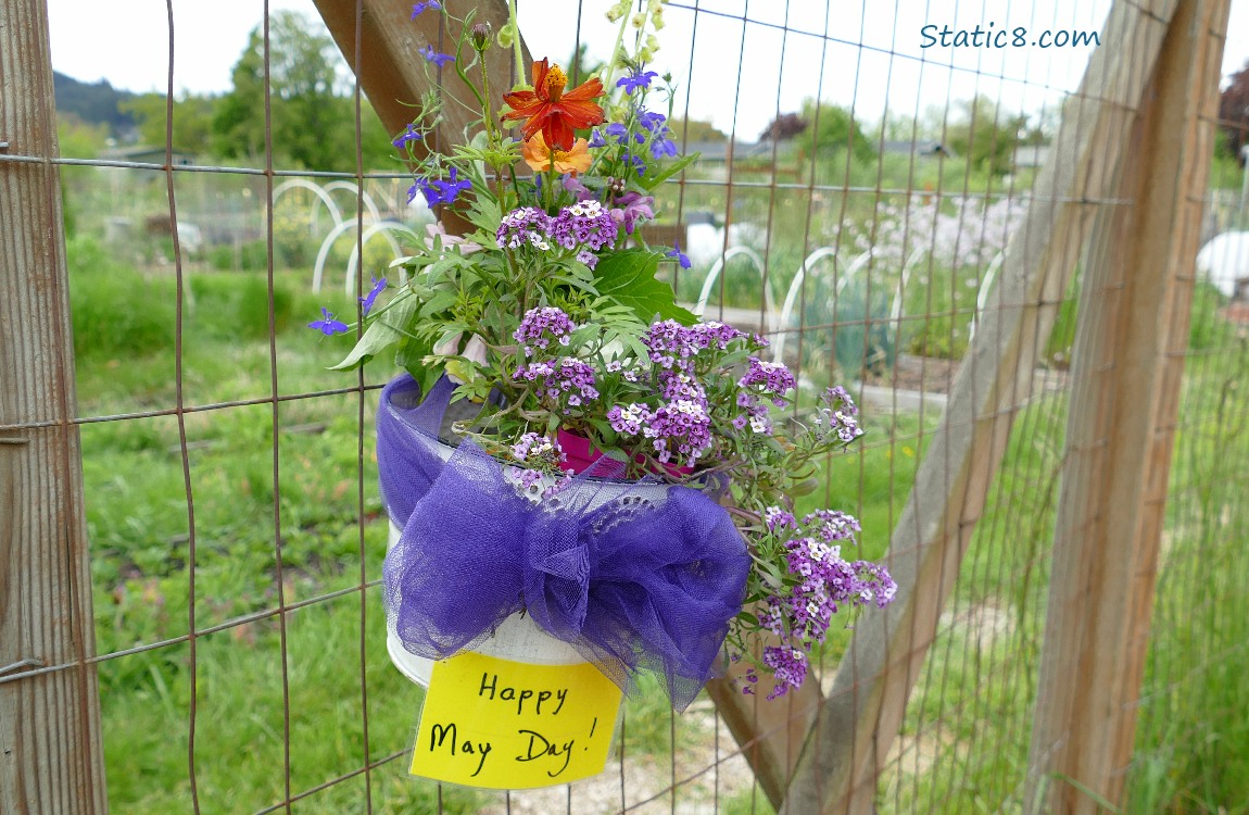 Small basket of flowers attached to the wire of a wood fence