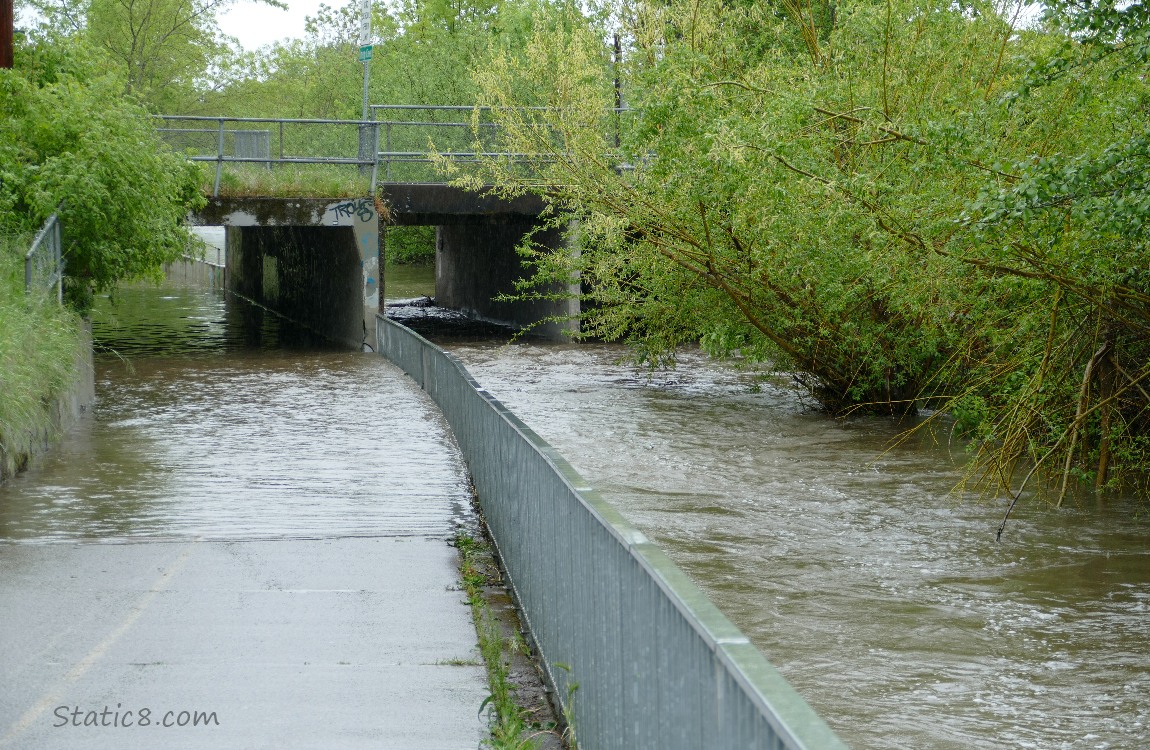 Water flooding the bike path under a car bridge