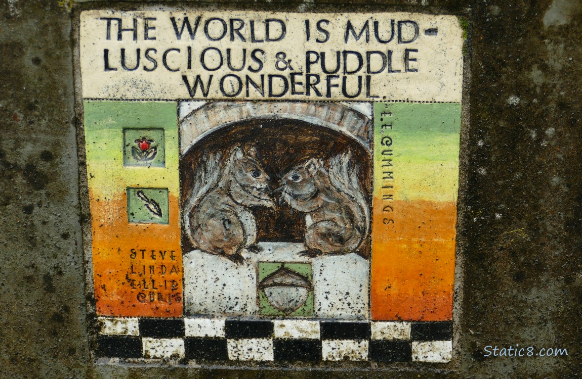 The World is mudluscious and puddle wonderful