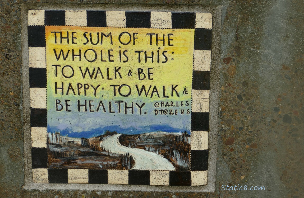 The sum of the whole is this, to walk and be happy, to walk and be healthy