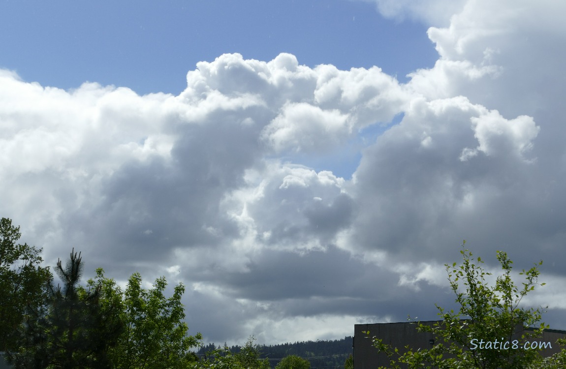 Clouds over silhouette of trees and a blue sky