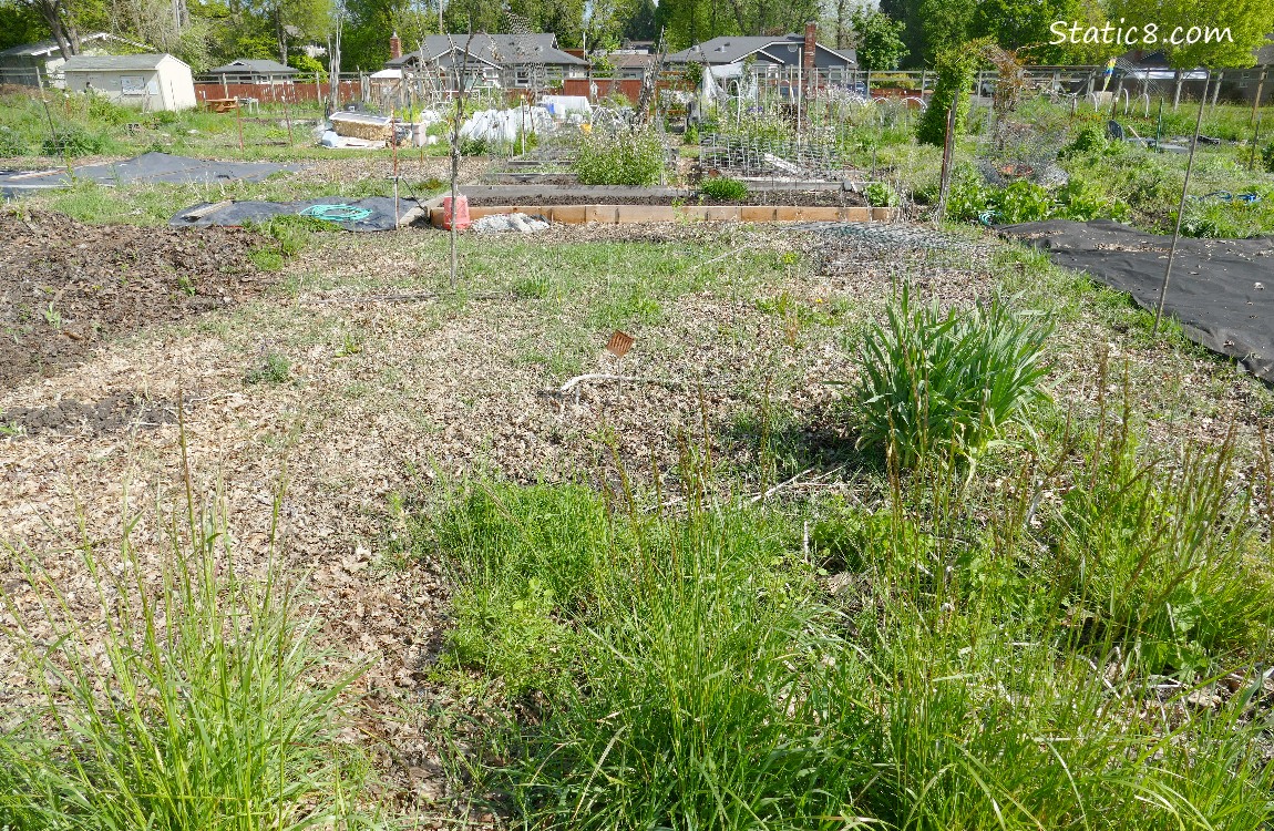 Garden plot