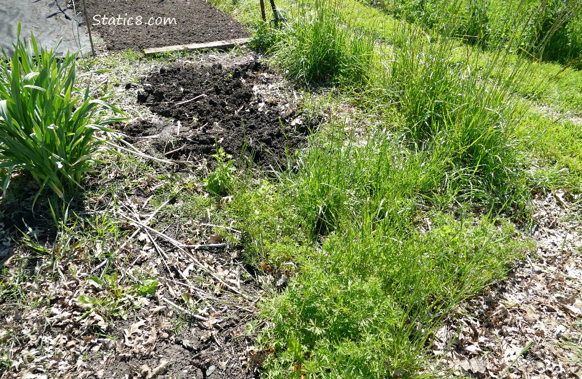 Garden Plot