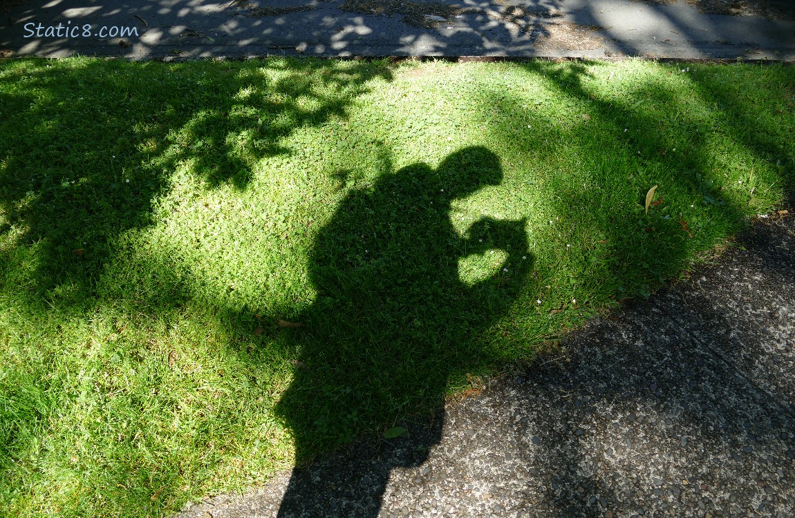 Shadow of a person