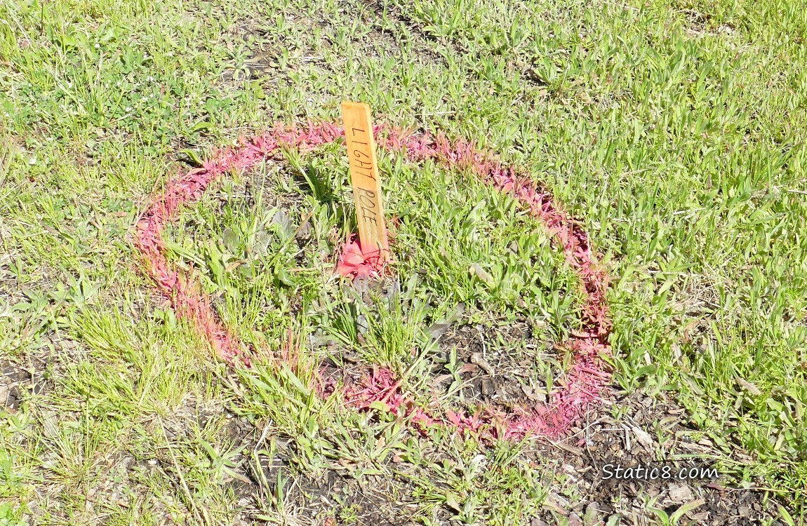 Stake with writing, Light Pole, in the grass with pink spray paint circle