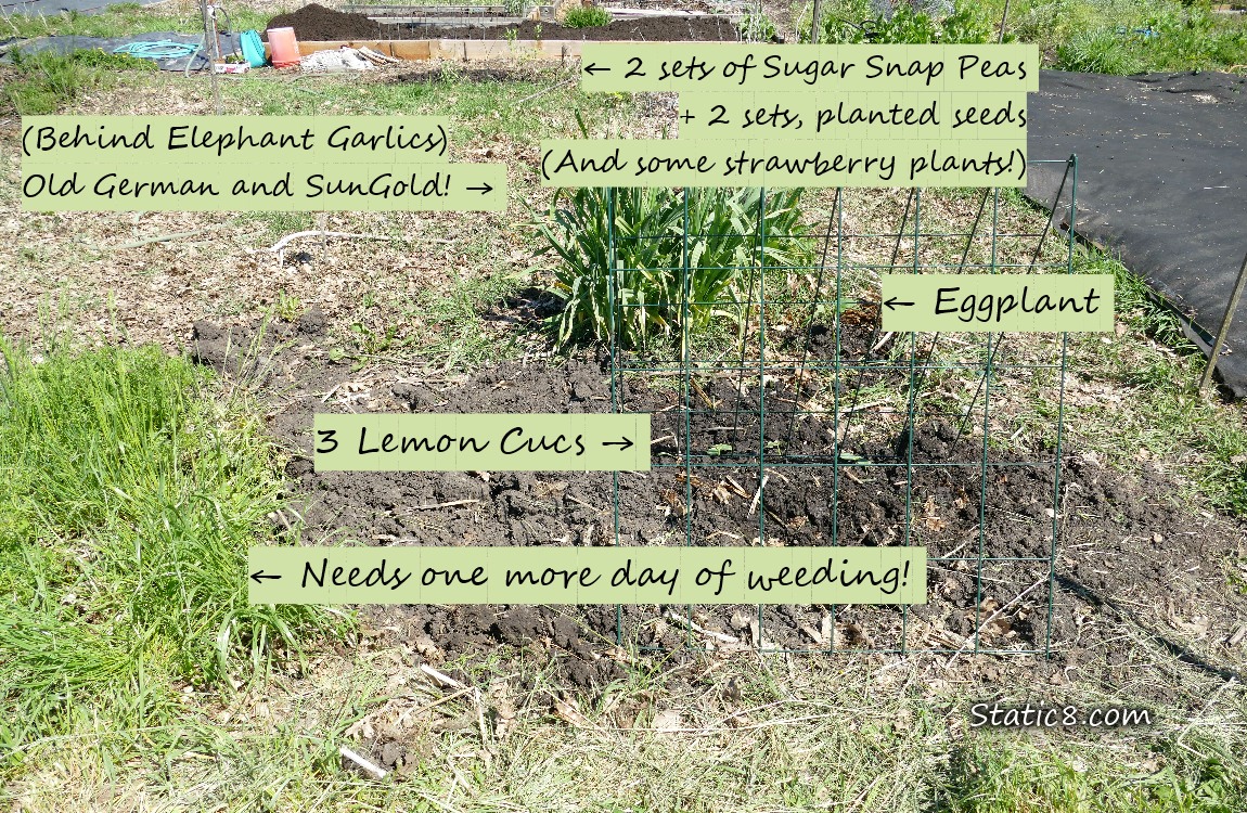 Garden plot with labels