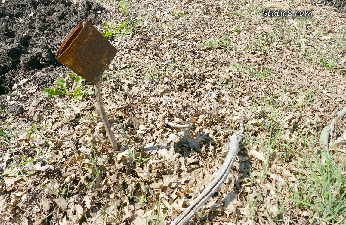 Flattened can on a stick in the garden