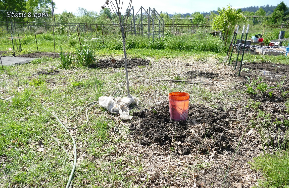 Garden Plot