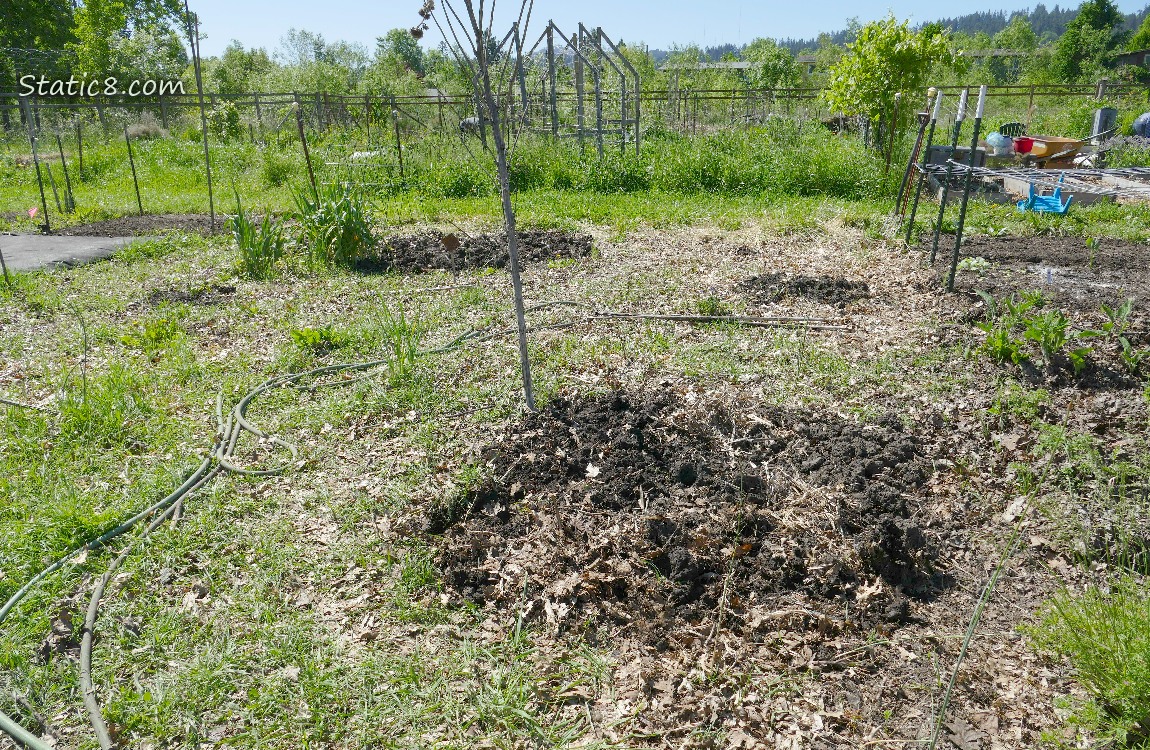 Garden Plot