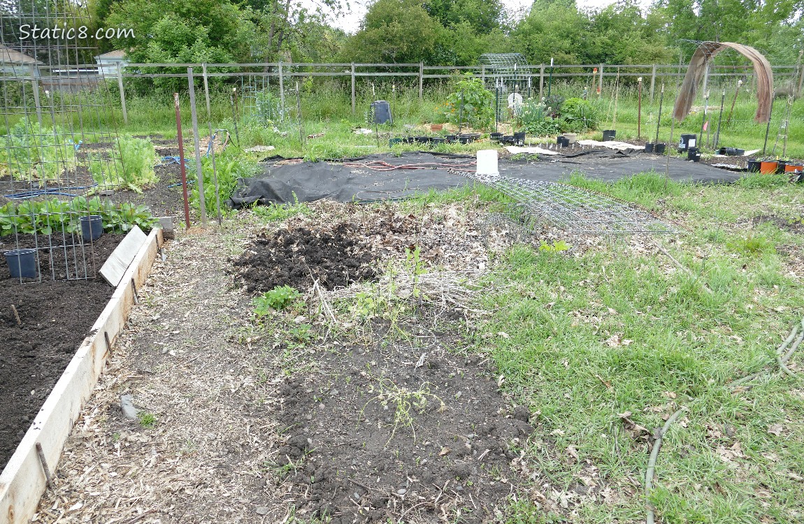 Garden Plot