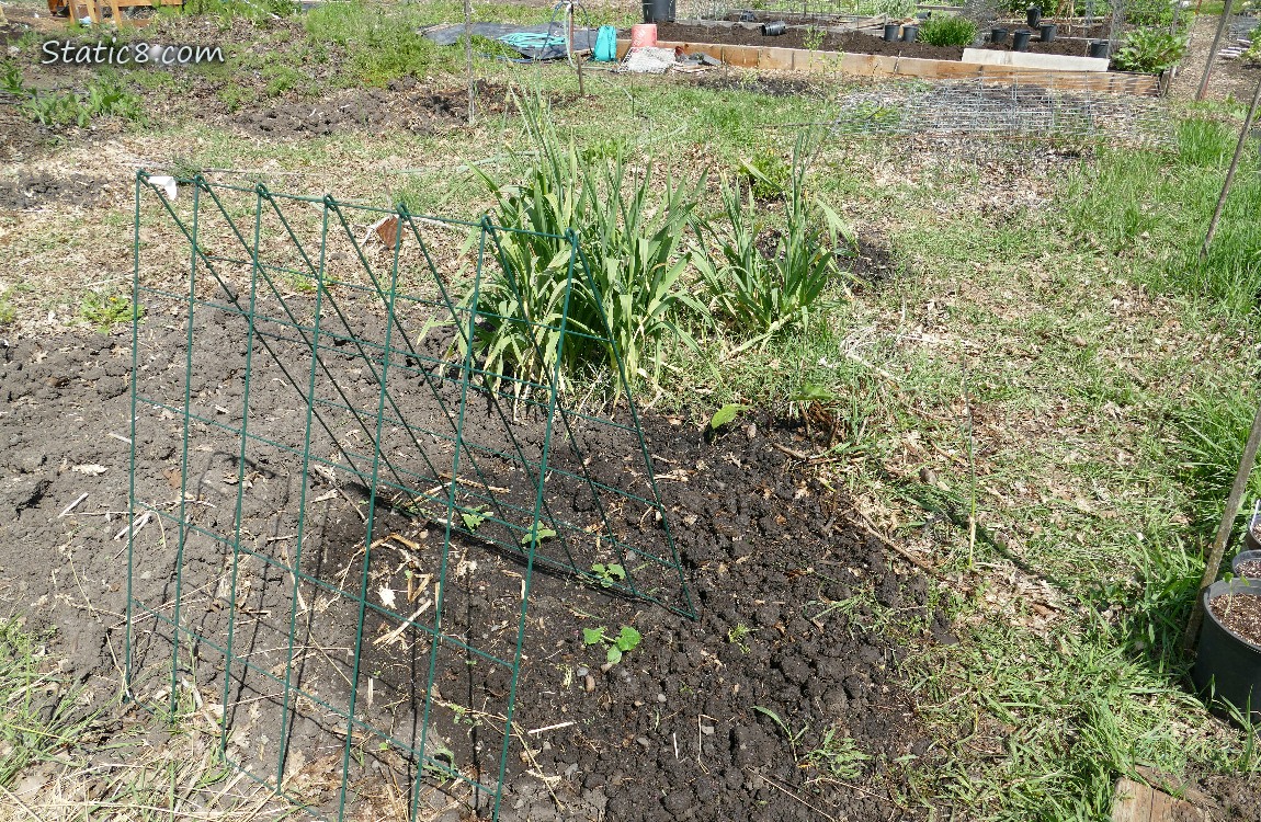 Garden plot