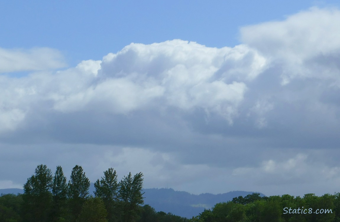 Clouds over the silhouette of trees