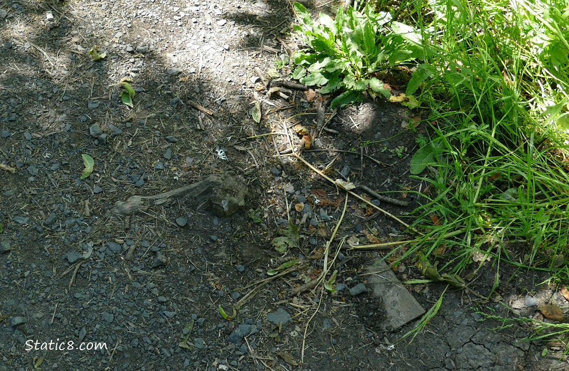 looking down at the trail