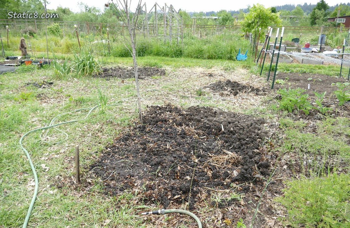 Garden Plot