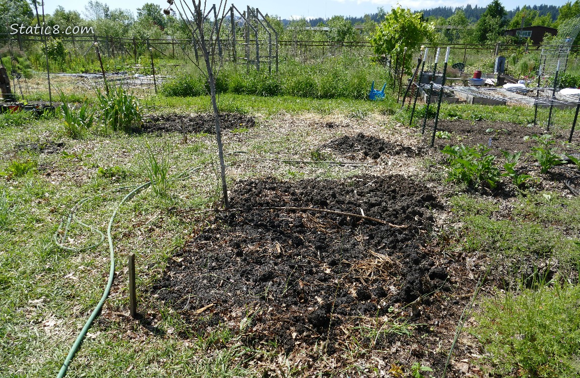 Garden Plot