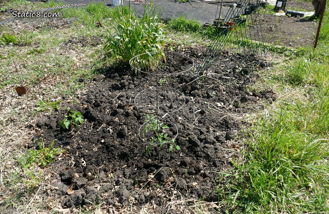 Garden plot