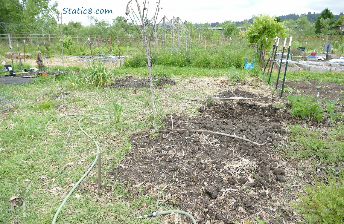 Garden Plot