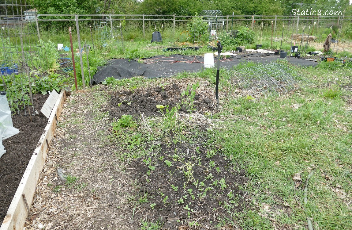 garden plot